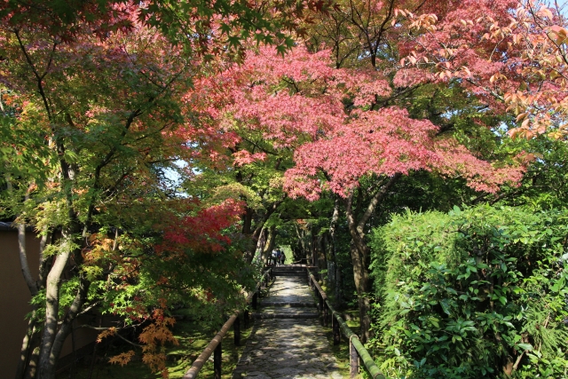 光悦寺の概要